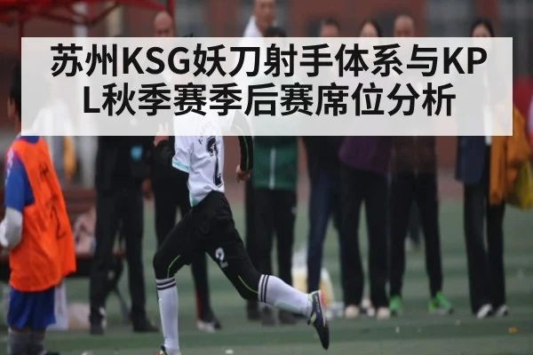 苏州KSG妖刀射手体系与KPL秋季赛季后赛席位分析